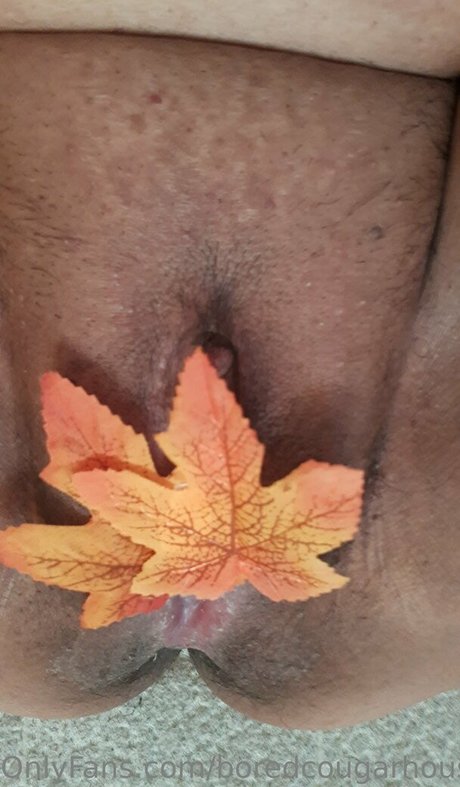 boredcougarhousewife-1