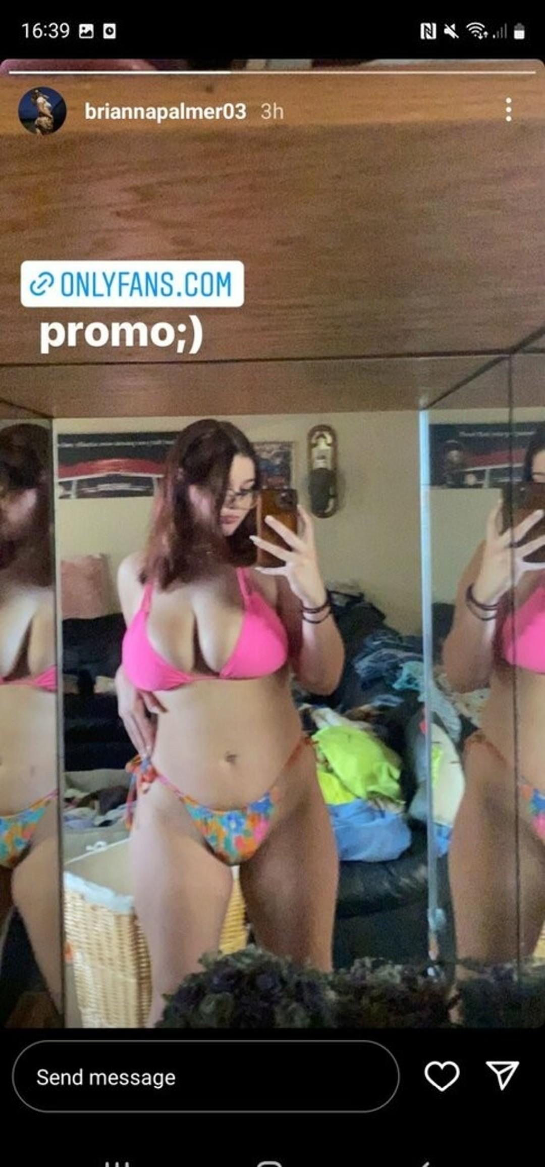 bripalmer