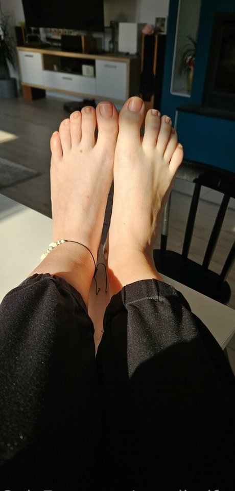 cavalierifeetfree