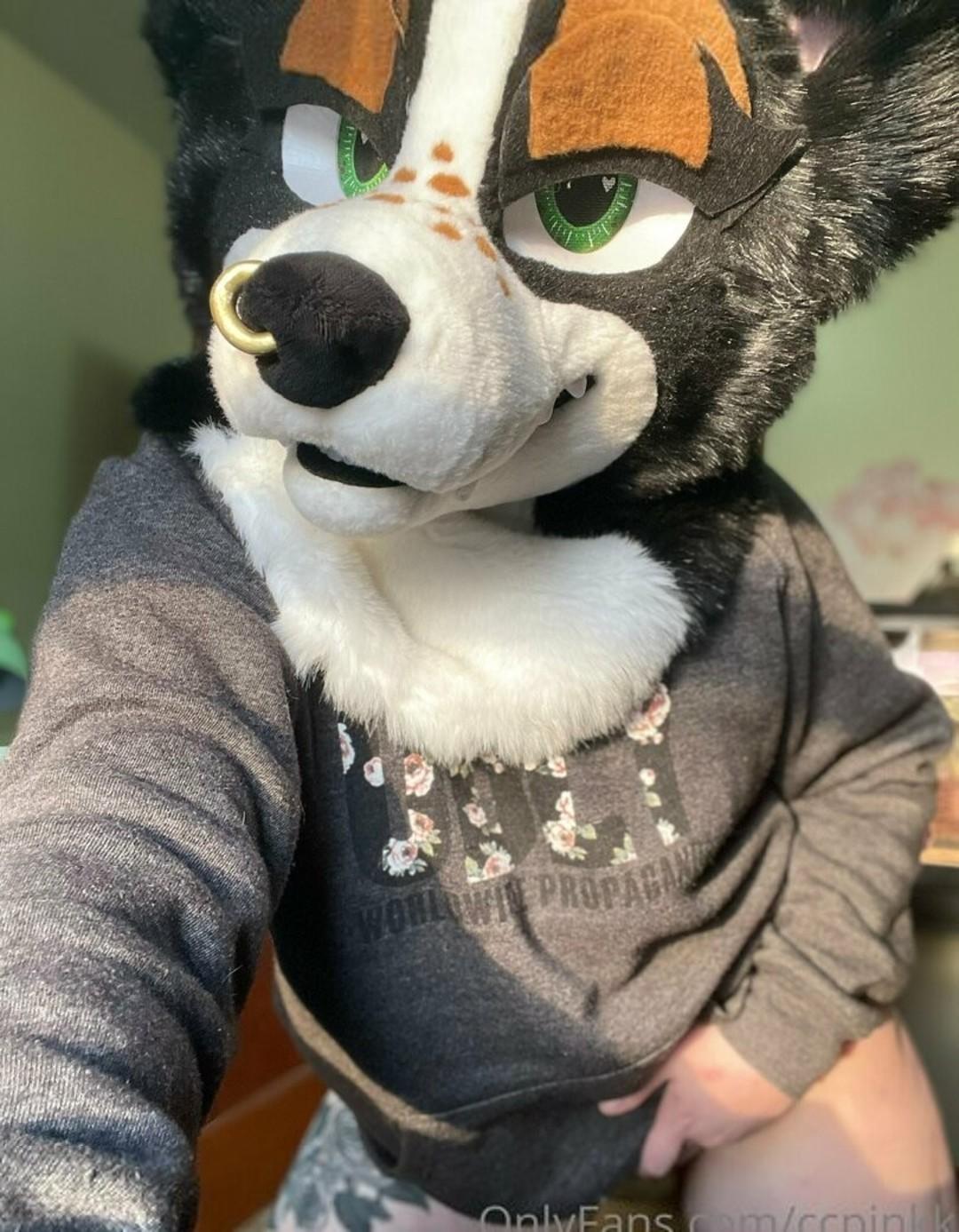 Owlicats Nude Leaked OnlyFans Photo #995