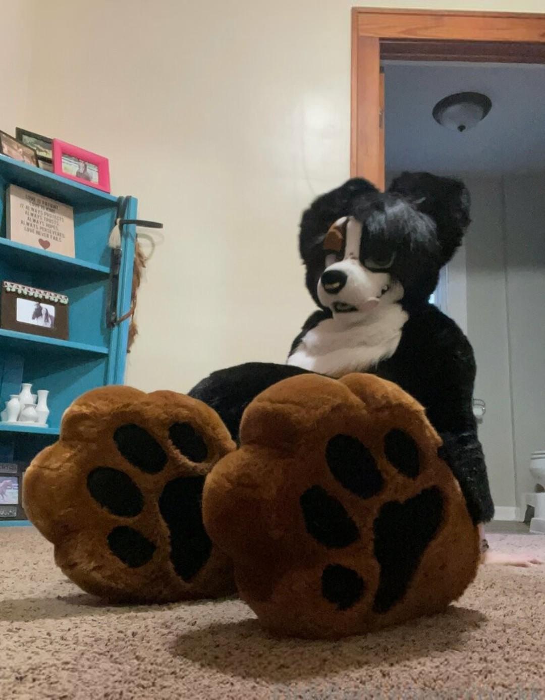 Owlicats Nude Leaked OnlyFans Photo #995
