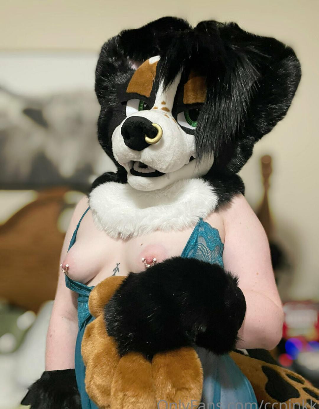 Owlicats Nude Leaked OnlyFans Photo #995