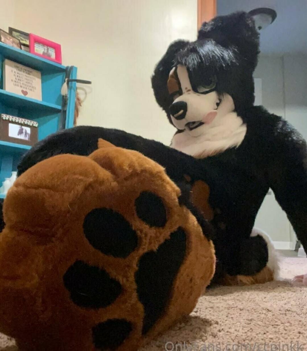 Owlicats Nude Leaked OnlyFans Photo #995