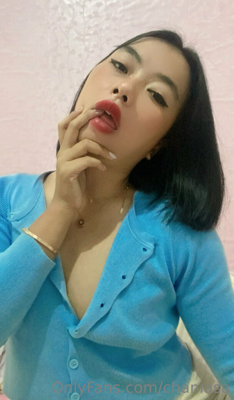 chaniasa