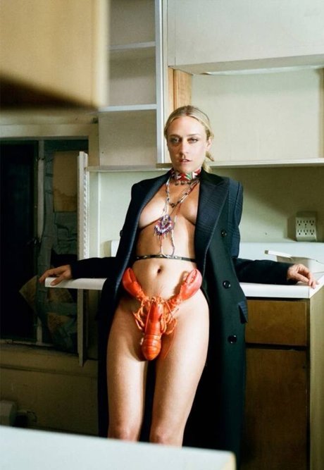 chloe-sevigny-1