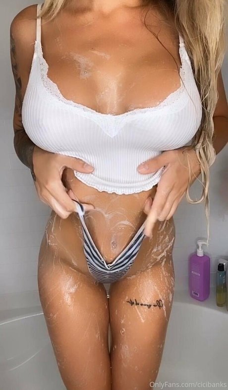 cicibanks