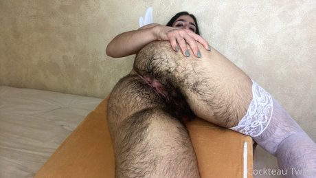 cockteautwink-olive-wren-cockteau-twink-1