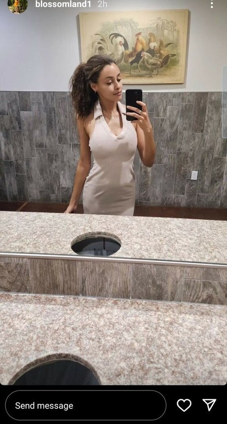 daisey-wilks-blossoms