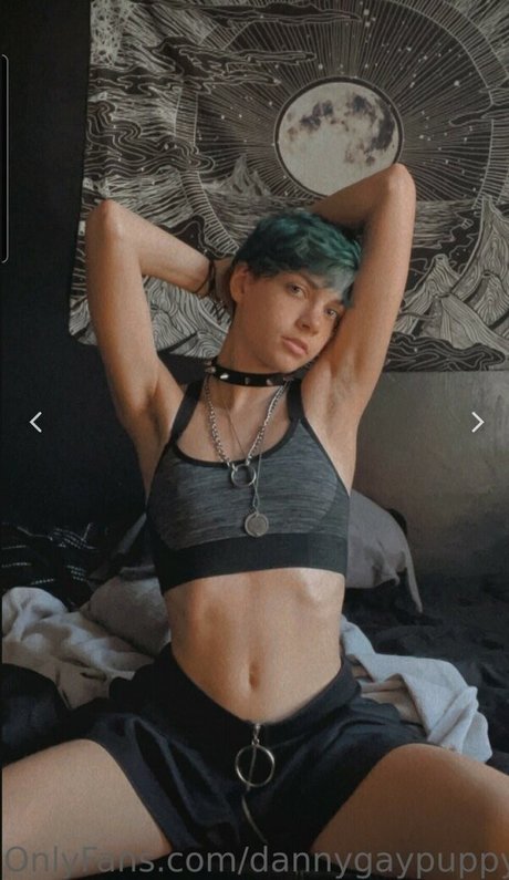 dannygaypuppy