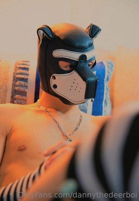 dannythedeerboi-1