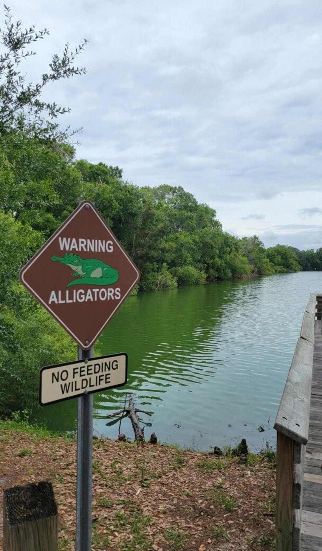 Owlicats Nude Leaked OnlyFans Photo #995