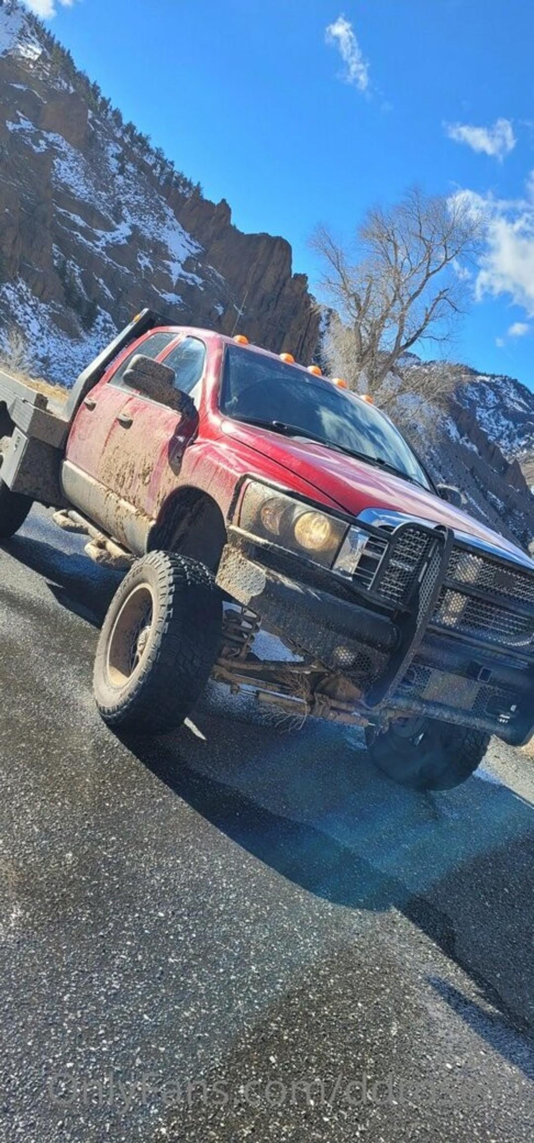 Owlicats Nude Leaked OnlyFans Photo #995