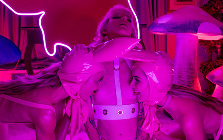 demon-poptart-1