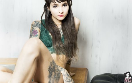 devon-sg