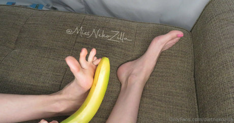 dietnekozilla