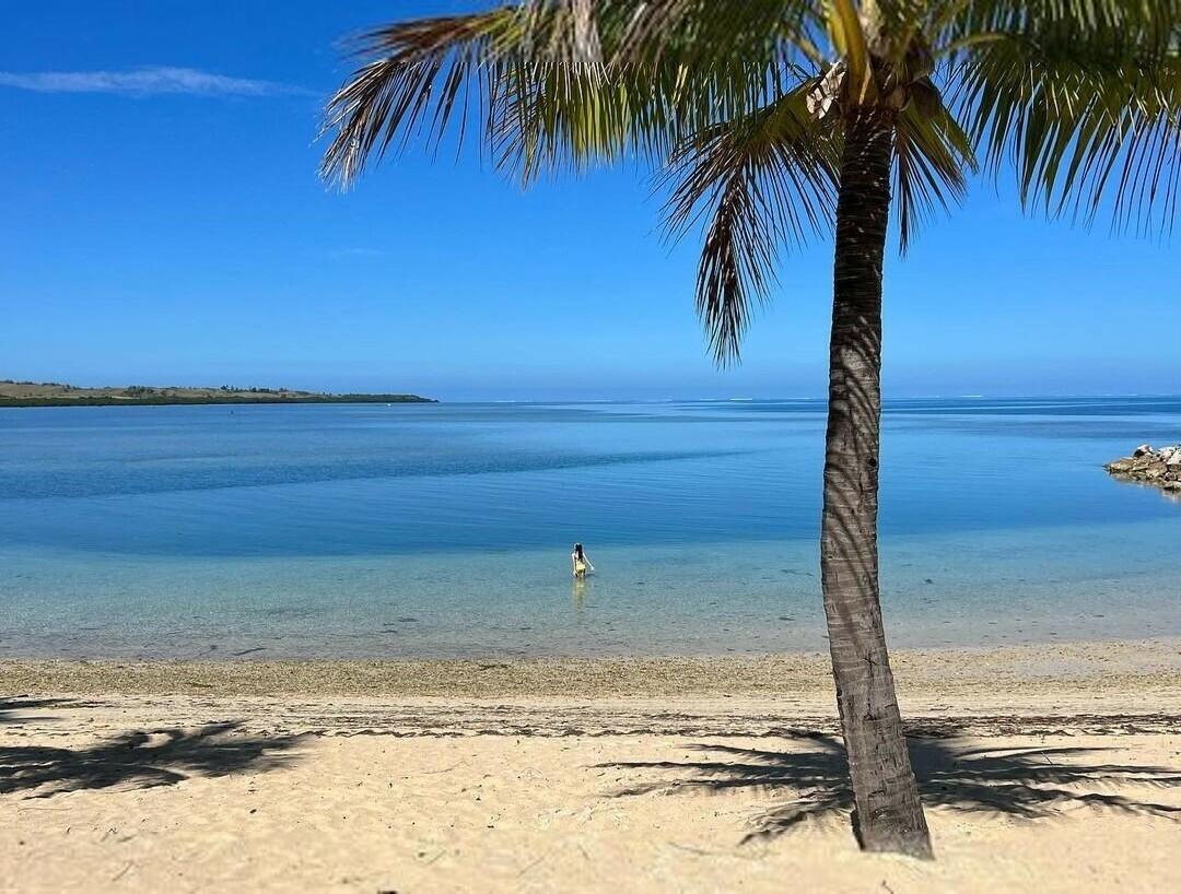 Owlicats Nude Leaked OnlyFans Photo #995