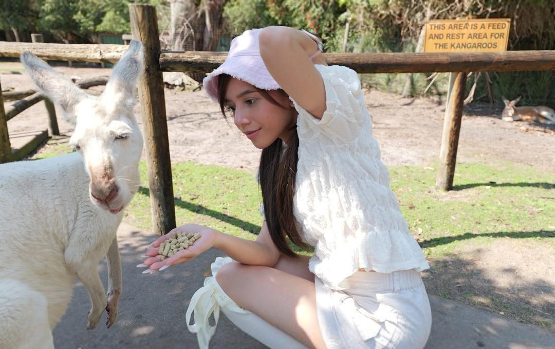 Owlicats Nude Leaked OnlyFans Photo #995