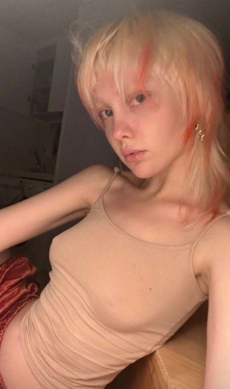 ellen-sheidlin