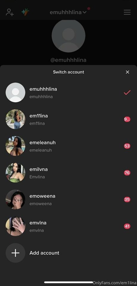 em1lina-1