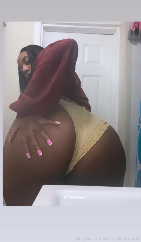 everylittlepromisee-1