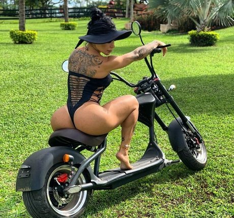 fabi-frota