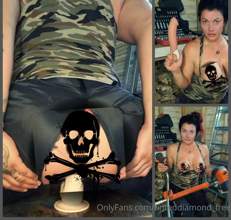 finreddiamond-free-1