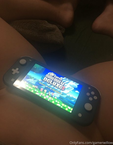 gamerwillow-1