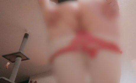 gingerkat420free