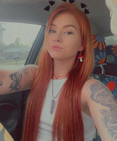 gingiehippie