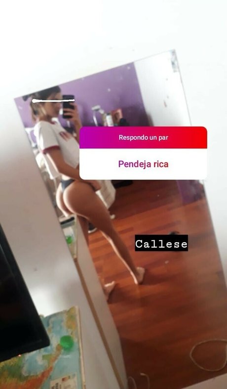 gl-piastre
