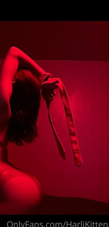 harlikitten