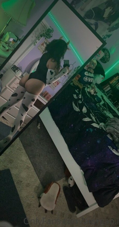 hellazebra-1