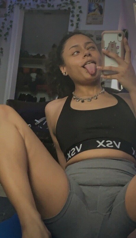 hellazebra-1