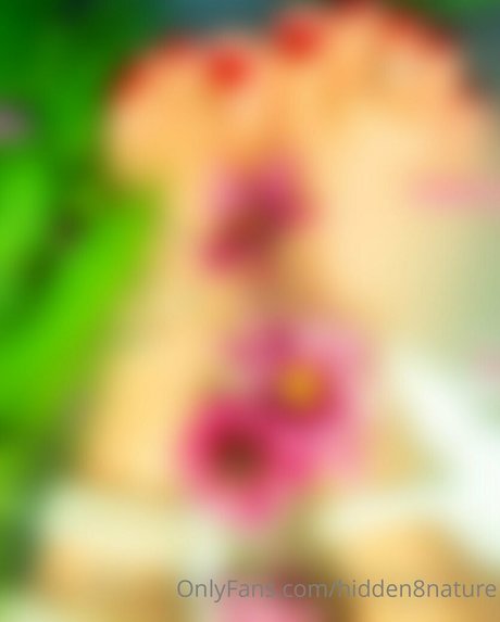 hidden8nature